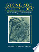 Stone-Age prehistory : studies in memory of Charles McBurney /