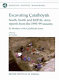 Excavating Çatalhöyük : south, north and KOPAL area reports from the 1995-99 seasons /