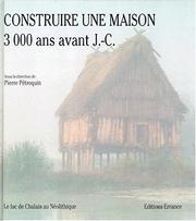 Construire une maison 3000 ans avant J.C. : le lac de Chalain au Néolithique /