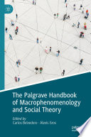 The Palgrave Handbook of Macrophenomenology and Social Theory /