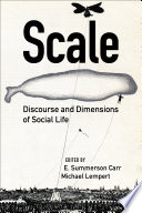 Scale : discourse and dimensions of social life /