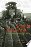 Capitalism takes command : the social transformation of nineteenth-century America /