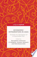 Economic integration in Asia : towards the delineation of a sustainable path /