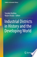 Industrial districts in history and the developing world /