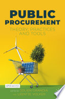 Public Procurement : Theory, Practices and Tools /