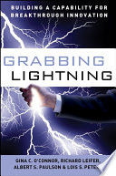 Grabbing lightning : building a capability for breakthrough innovation /