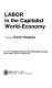 Labor in the capitalist world-economy /