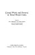 Casual work and poverty in Third World cities /