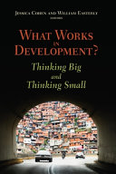 What works in development? : thinking big and thinking small /