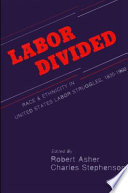 Labor divided : race and ethnicity in United States labor struggles, 1835-1960 /