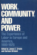 Work, community, and power : the experience of labor in Europe and America, 1900-1925 /