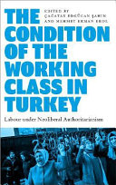 Condition of the working class in turkey : labour under neoliberal.