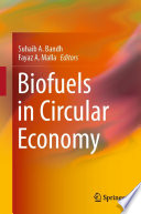 Biofuels in Circular Economy /