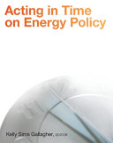 Acting in time on energy policy /