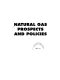 Natural gas prospects and policies /