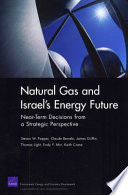 Natural gas and Israel's energy future : near-term decisions from a strategic perspective /