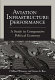 Aviation infrastructure performance : a study in comparative political economy /