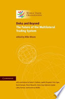 Doha and beyond : the future of the multilateral trading system /