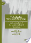 Understanding Workplace Relationships : An Examination of the Antecedents and Outcomes /