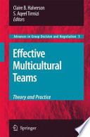 Effective multicultural teams : theory and practice /