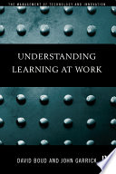 Understanding learning at work /