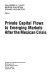 Private capital flows to emerging markets after the Mexican crisis /