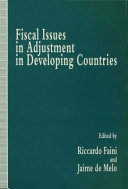 Fiscal issues in adjustment in developing countries /