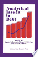 Analytical issues in debt /