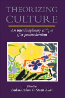 Theorizing culture : an interdisciplinary critique after postmodernism /