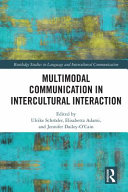 Multimodal communication in intercultural interaction /