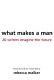 What makes a man : 22 writers imagine the future /