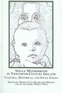 Single motherhood in 20th century Ireland : cultural, historical and social essays /