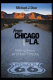 From Chicago to L.A. : making sense of urban theory /