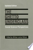 The Ghetto underclass : social science perspectives /