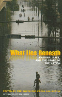 What lies beneath : Katrina, race, and the state of the nation /