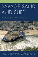 Savage sand and surf : the Hurricane Sandy disaster /