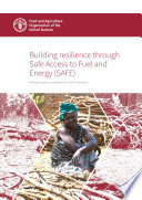 Building resilience through safe access to fuel and energy (SAFE) : moving towards a comprehensive SAFE framework.