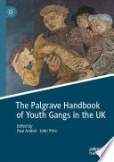 The Palgrave Handbook of Youth Gangs in the UK  /