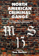 North American criminal gangs : street, prison, outlaw motorcycle, and drug trafficking organizations /