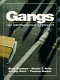 Gangs : an international approach /