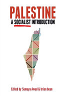 Palestine : a socialist introduction /