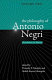 The philosophy of Antonio Negri /