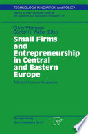 Small firms and entrepreneurship in Central and Eastern Europe : a socio-economic perspective /