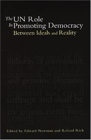 The UN role in promoting democracy : between ideals and reality /