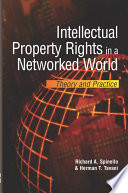 Intellectual property rights in a networked world : theory and practice /