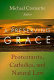 A preserving grace : Protestants, Catholics, and natural law /