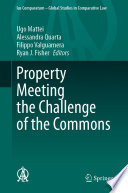 Property Meeting the Challenge of the Commons /
