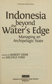 Indonesia beyond the water's edge : managing an archipelagic state /