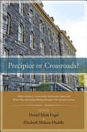 Precipice or crossroads? : where America's great public universities stand and where they are going midway through their second century /