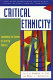 Critical ethnicity : countering the waves of identity politics /